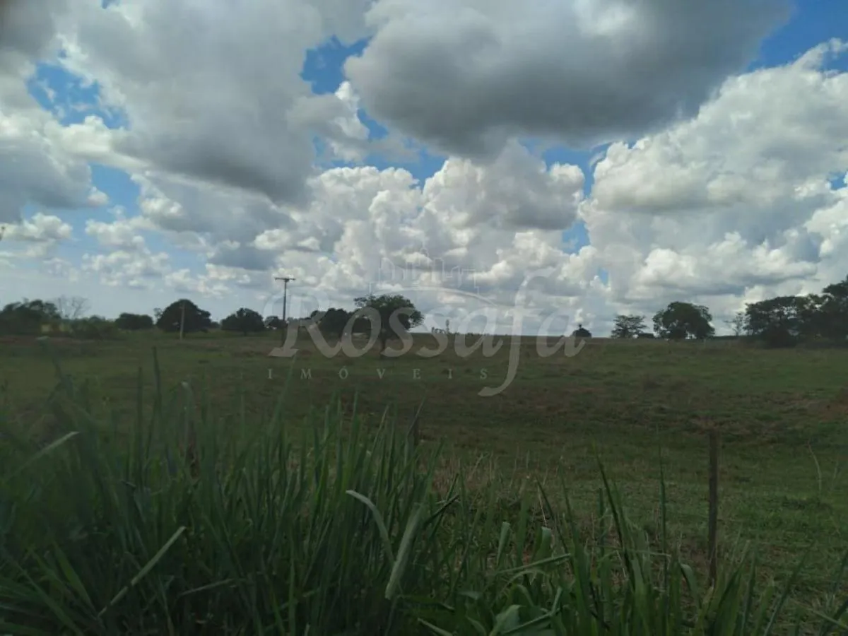Small farm for sale of 24 acres in Três Fronteiras, SP, Brazil