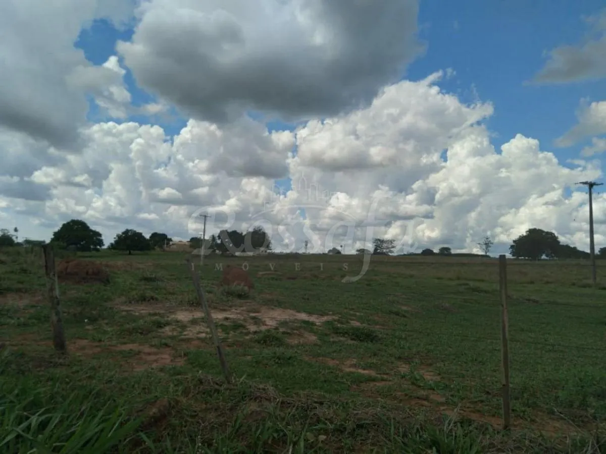 Small farm for sale of 24 acres in Três Fronteiras, SP, Brazil