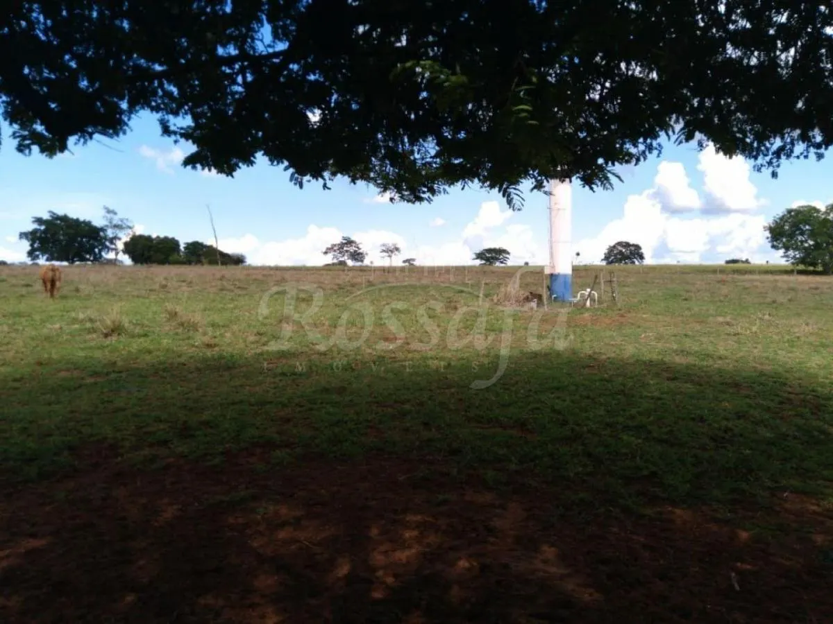Small farm for sale of 24 acres in Três Fronteiras, SP, Brazil