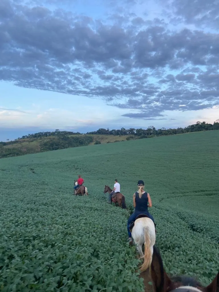 Farm for sale of 1,611 acres in Caxambu, MG, Brazil