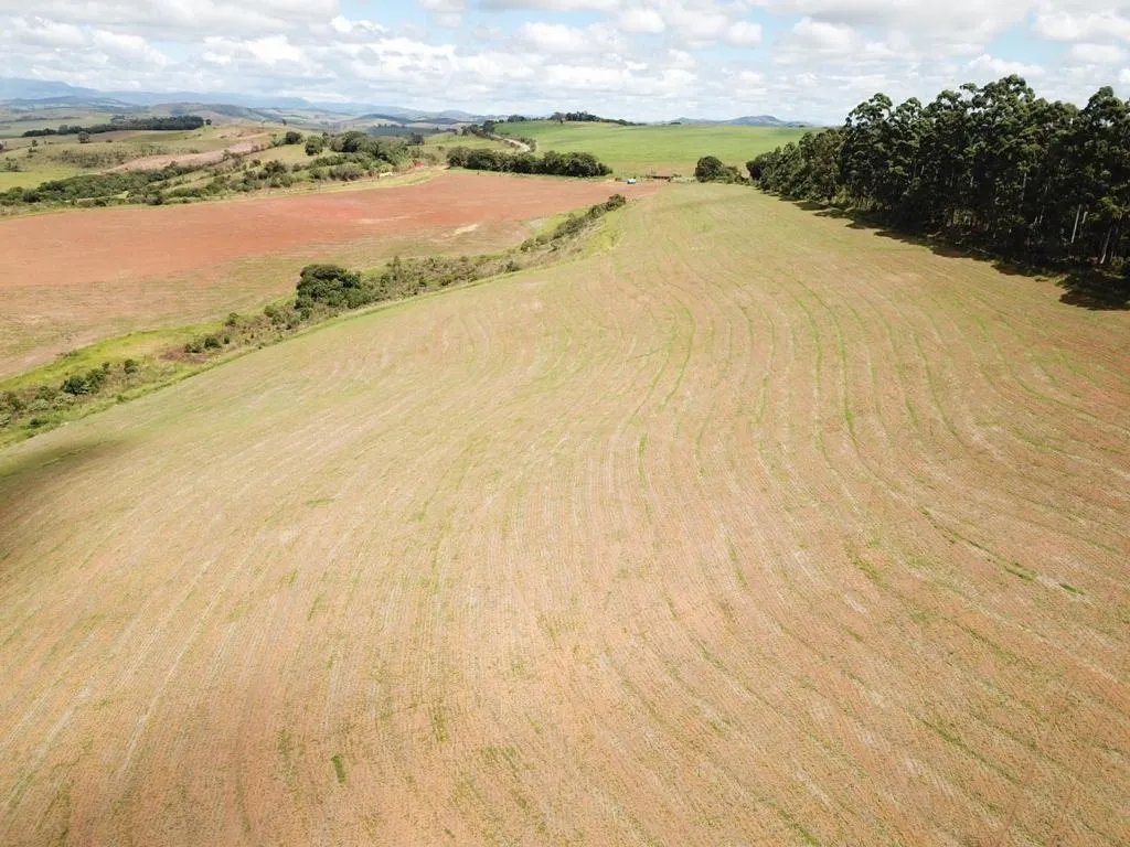 Farm for sale of 1,611 acres in Caxambu, MG, Brazil