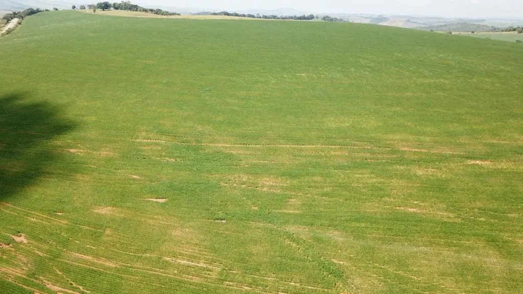 Farm for sale of 1,611 acres in Caxambu, MG, Brazil