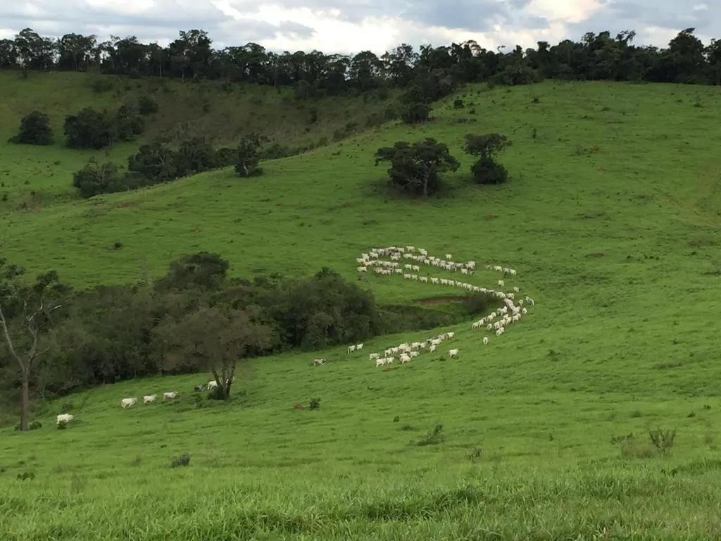 Farm for sale of 1,611 acres in Caxambu, MG, Brazil