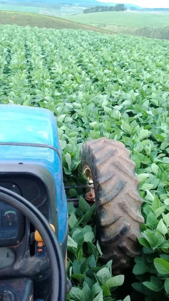 Farm for sale of 1,611 acres in Caxambu, MG, Brazil