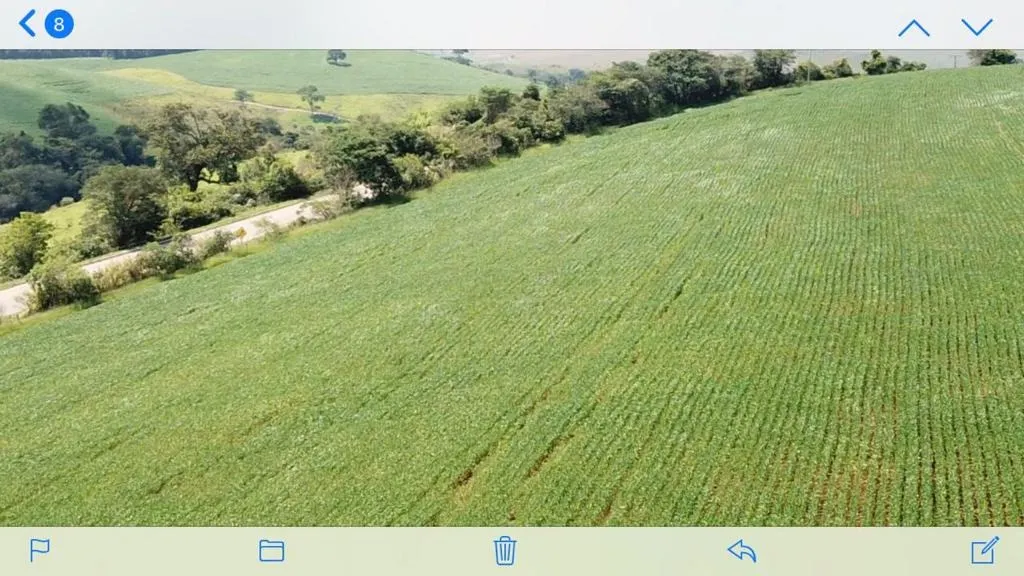 Farm for sale of 1,611 acres in Caxambu, MG, Brazil