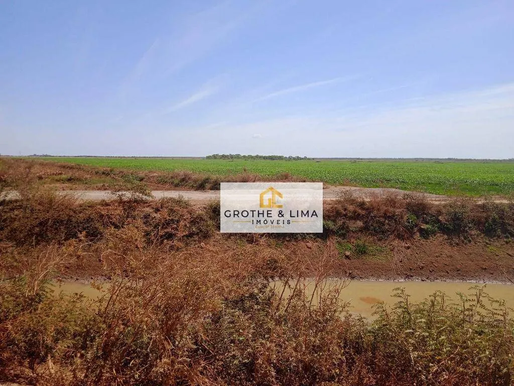 Fazenda à venda de 3.630 ha em Formoso do Araguaia, TO, Brasil