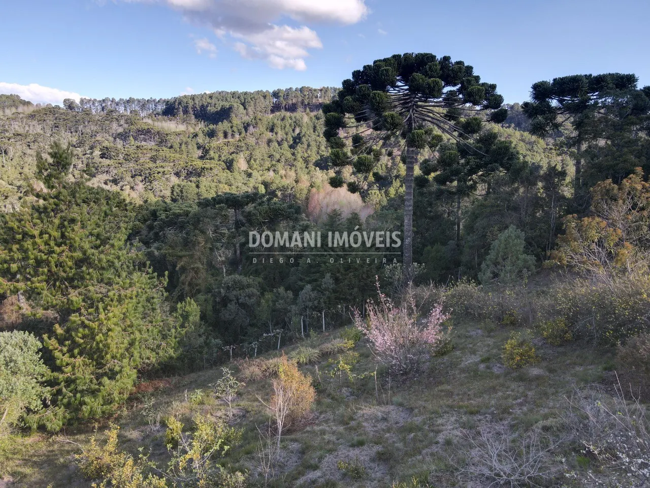 Plot for sale of 1,210 m² in Campos do Jordão, SP, Brazil
