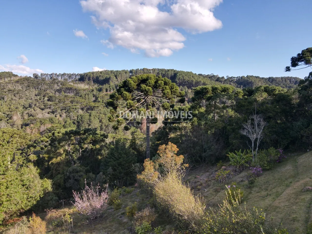 Plot for sale of 1,210 m² in Campos do Jordão, SP, Brazil