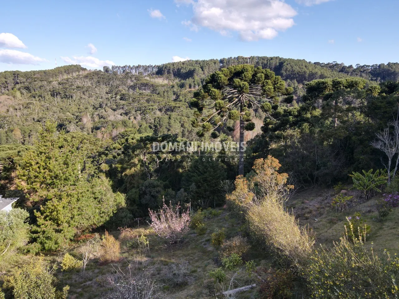 Plot for sale of 1,210 m² in Campos do Jordão, SP, Brazil