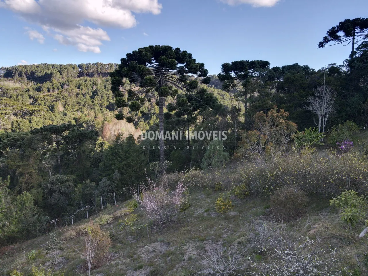 Plot for sale of 1,210 m² in Campos do Jordão, SP, Brazil