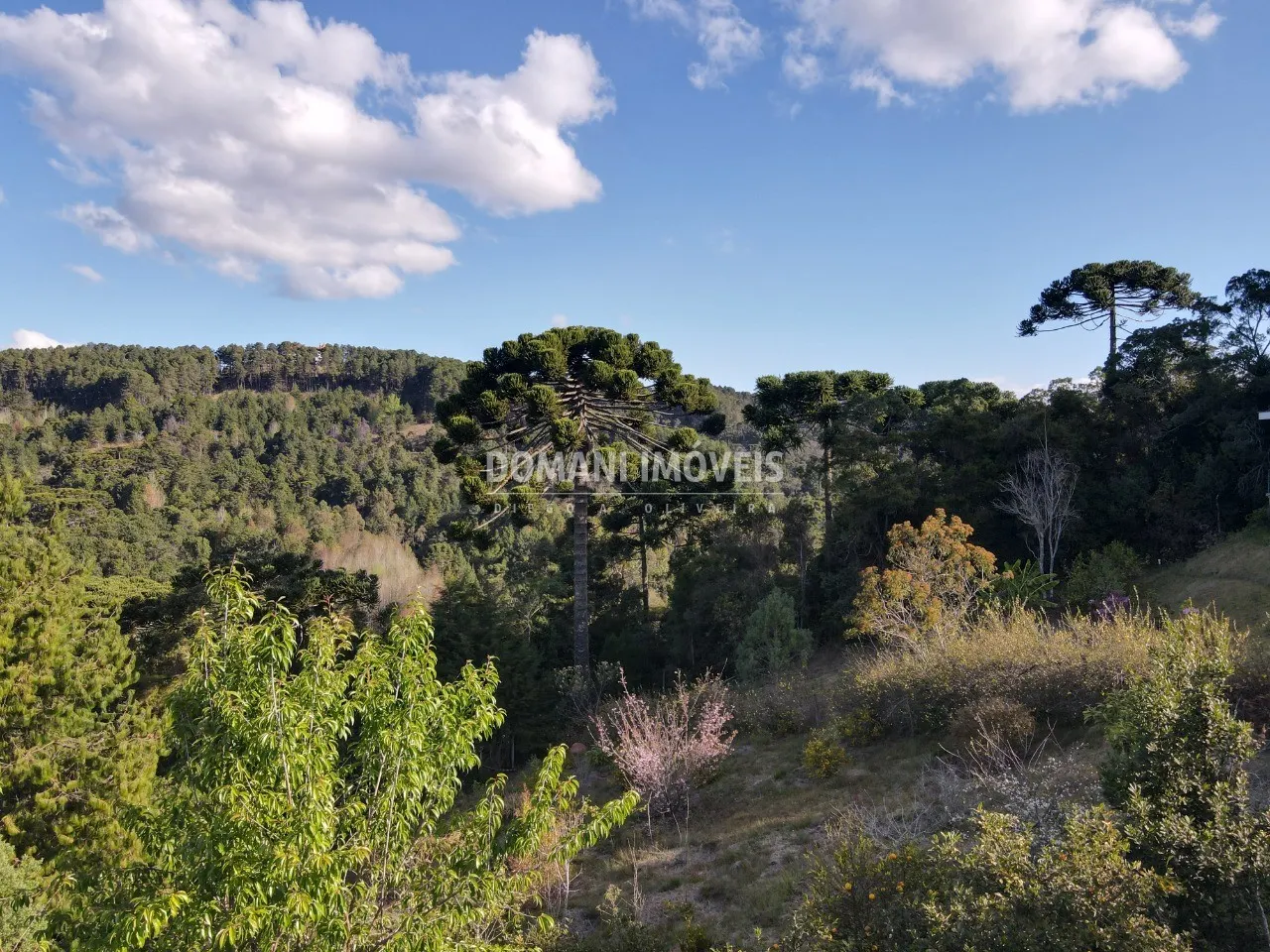 Plot for sale of 1,210 m² in Campos do Jordão, SP, Brazil