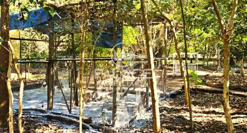 Chácara à venda de 5.000 m² em São Pedro, SP, Brasil
