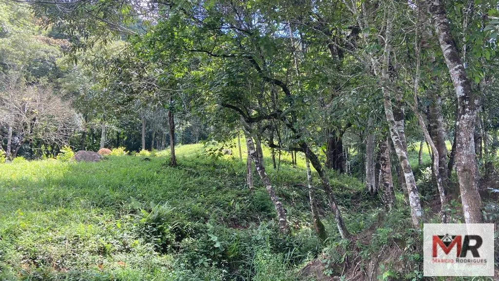 Plot for sale of 19 acres in Espírito Santo do Dourado, MG, Brazil