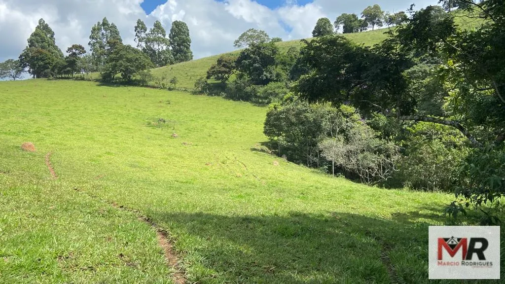 Plot for sale of 19 acres in Espírito Santo do Dourado, MG, Brazil