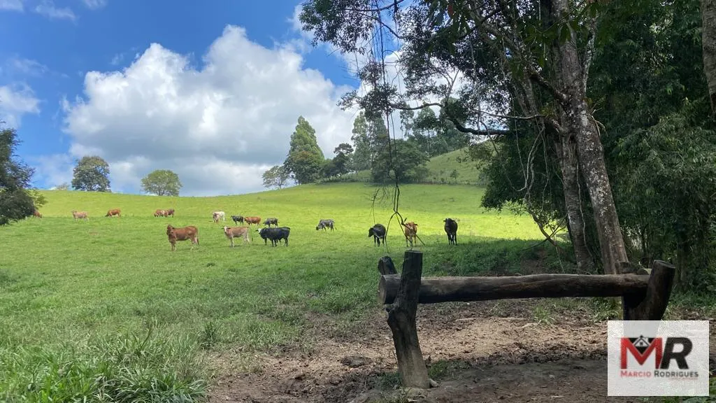 Plot for sale of 19 acres in Espírito Santo do Dourado, MG, Brazil