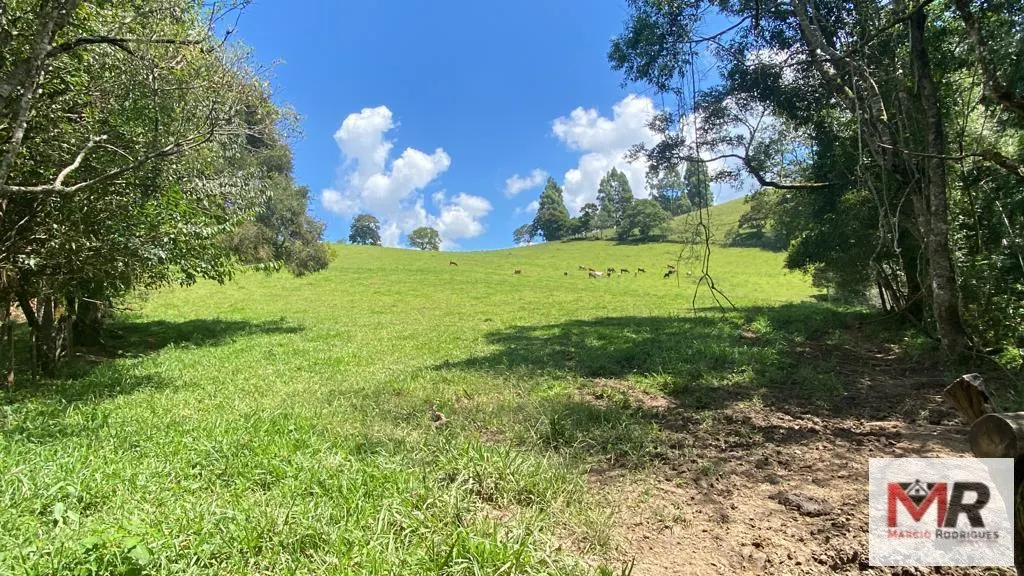 Plot for sale of 19 acres in Espírito Santo do Dourado, MG, Brazil