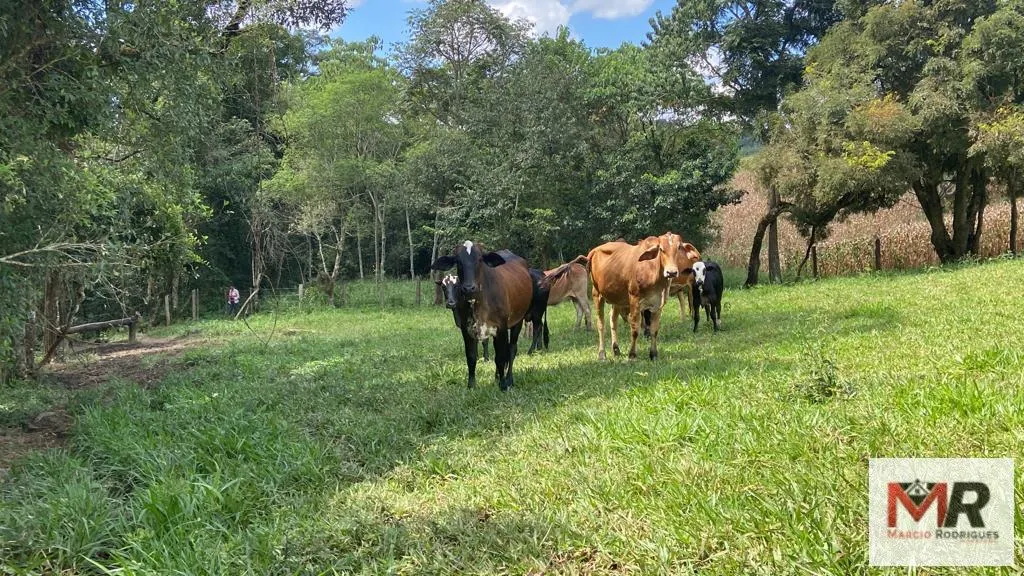 Plot for sale of 19 acres in Espírito Santo do Dourado, MG, Brazil