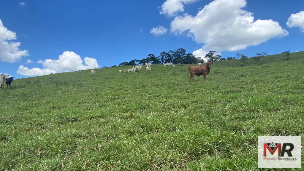 Plot for sale of 19 acres in Espírito Santo do Dourado, MG, Brazil