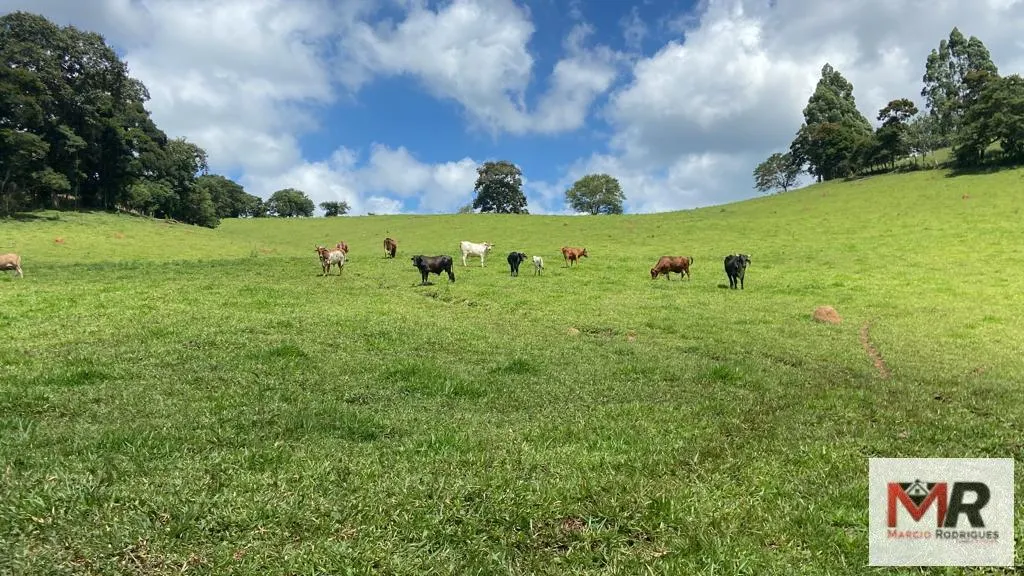 Plot for sale of 19 acres in Espírito Santo do Dourado, MG, Brazil