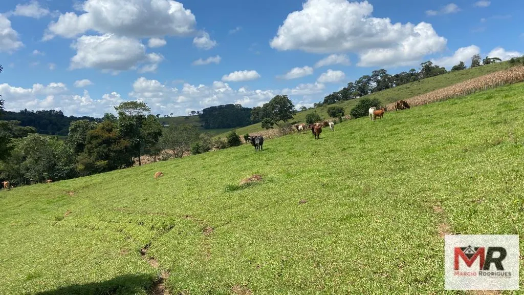 Plot for sale of 19 acres in Espírito Santo do Dourado, MG, Brazil