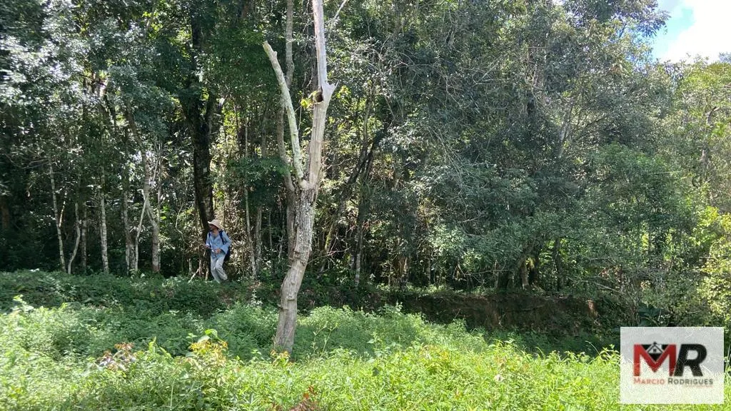 Plot for sale of 19 acres in Espírito Santo do Dourado, MG, Brazil