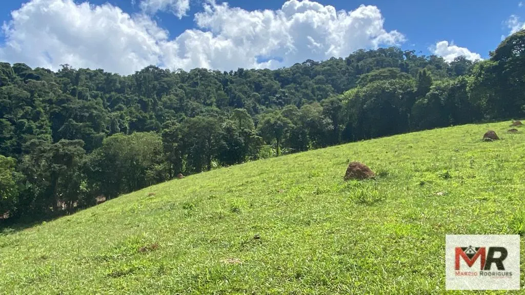 Plot for sale of 19 acres in Espírito Santo do Dourado, MG, Brazil