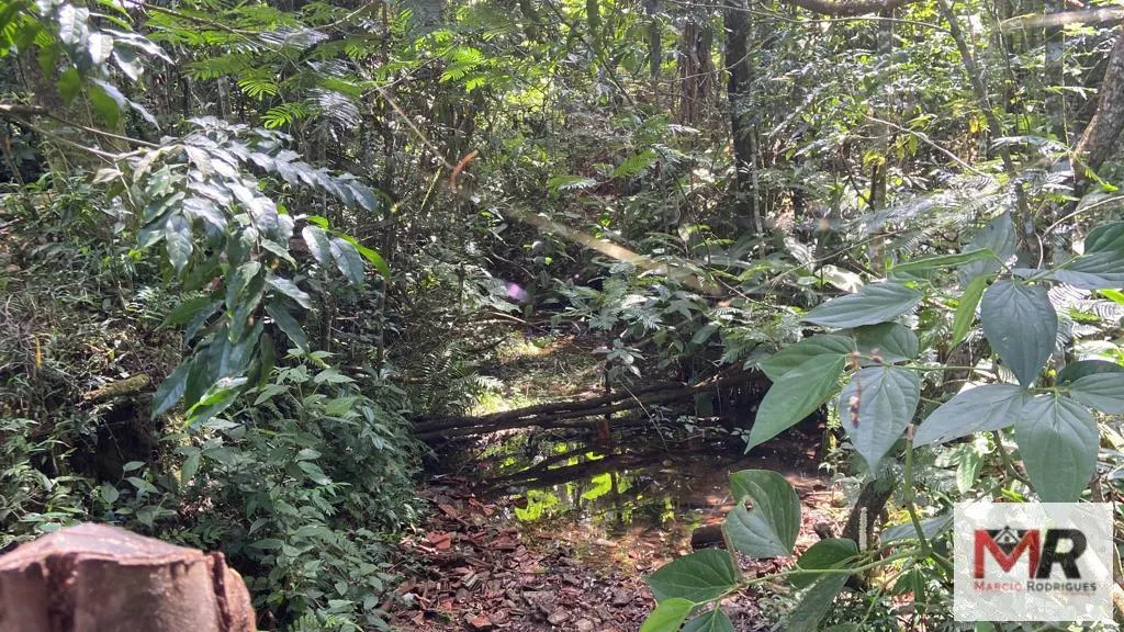 Plot for sale of 19 acres in Espírito Santo do Dourado, MG, Brazil