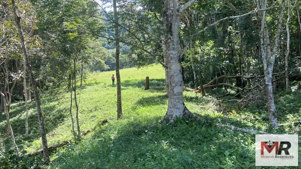 Plot for sale of 19 acres in Espírito Santo do Dourado, MG, Brazil