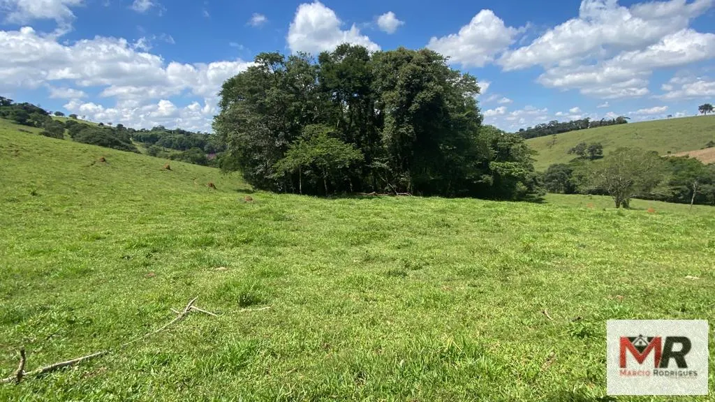 Terreno à venda de 8 ha em Espírito Santo do Dourado, MG, Brasil