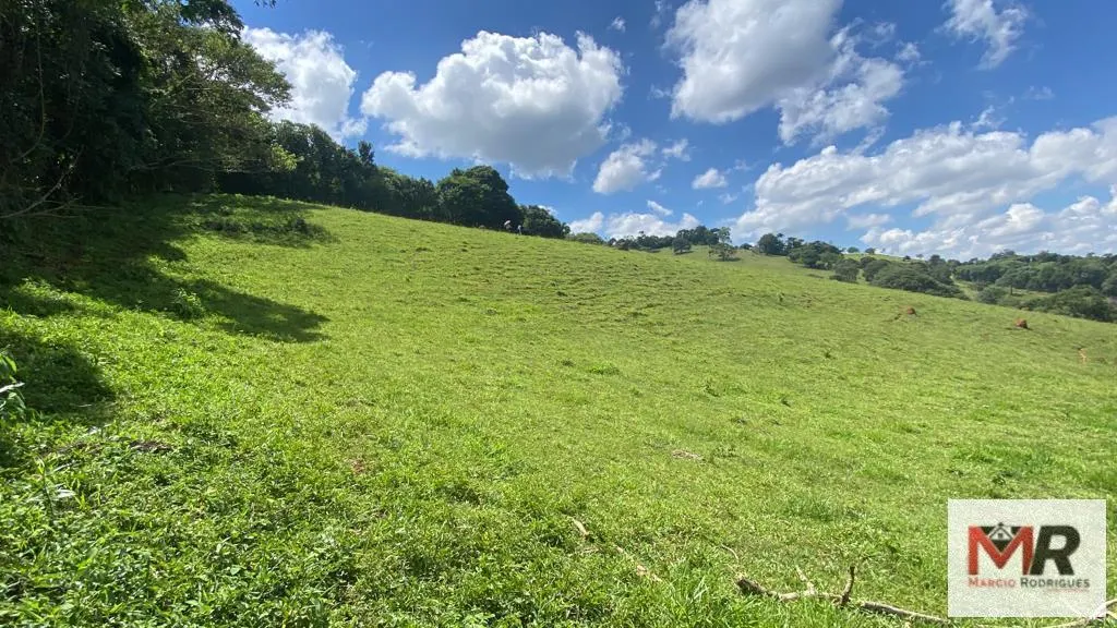 Plot for sale of 19 acres in Espírito Santo do Dourado, MG, Brazil