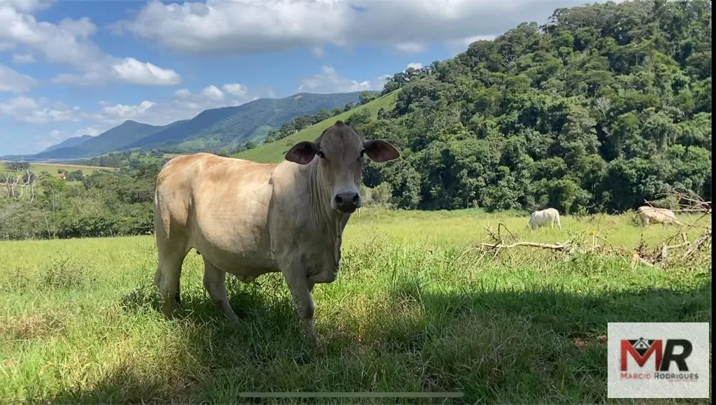 Plot for sale of 19 acres in Espírito Santo do Dourado, MG, Brazil