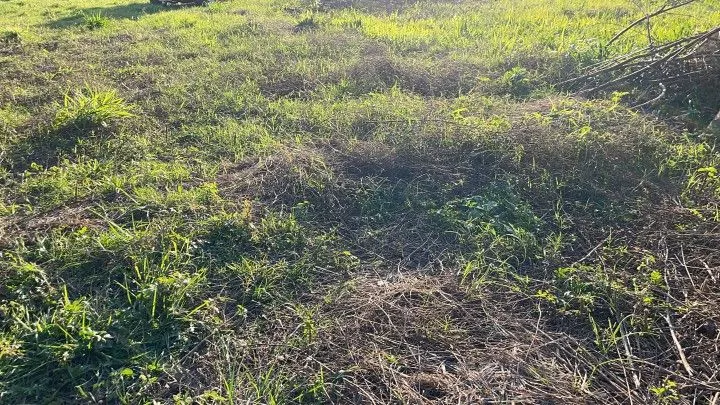 Country home for sale of 3,400 m² in Santo Antônio da Patrulha, RS, Brazil