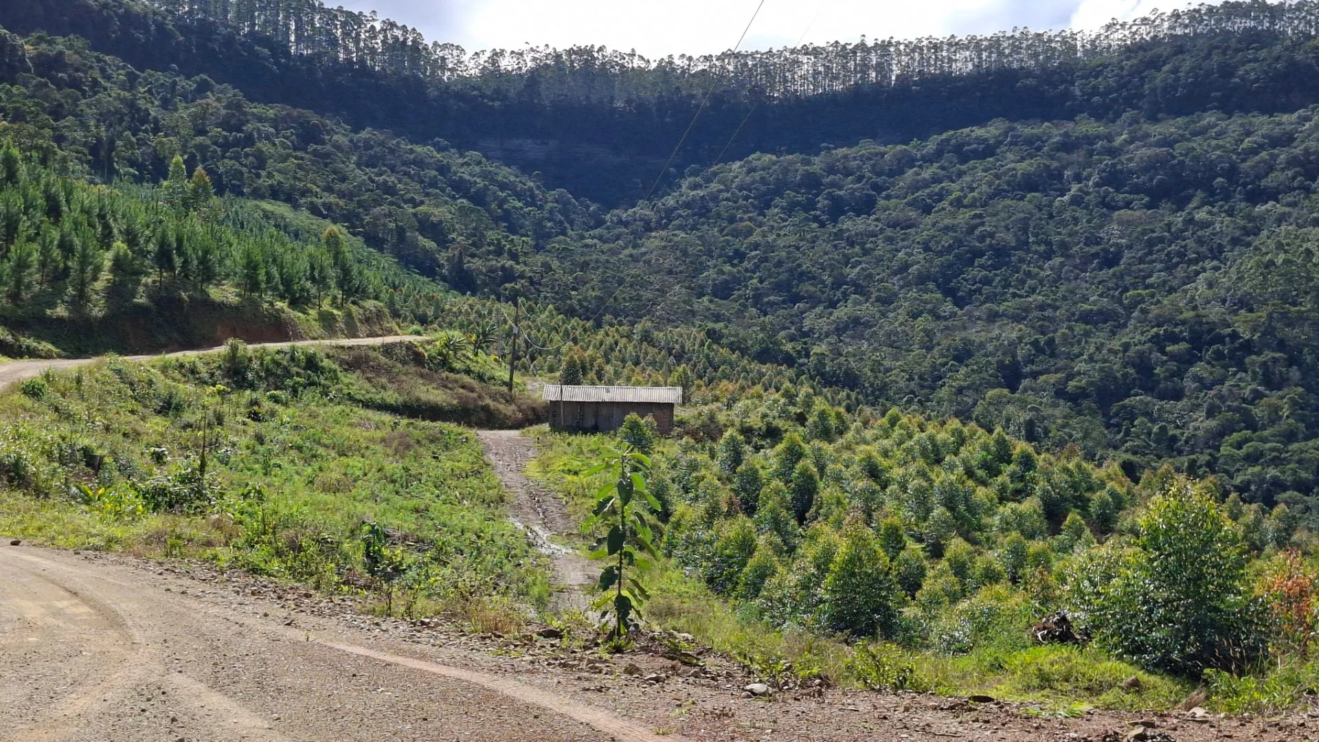 Fazenda à venda de 62 ha em Presidente Nereu, SC, Brasil