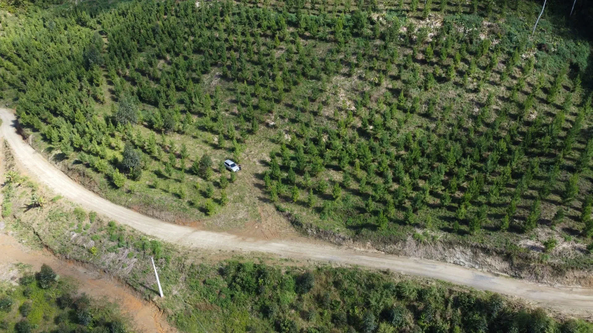 Fazenda à venda de 62 ha em Presidente Nereu, SC, Brasil