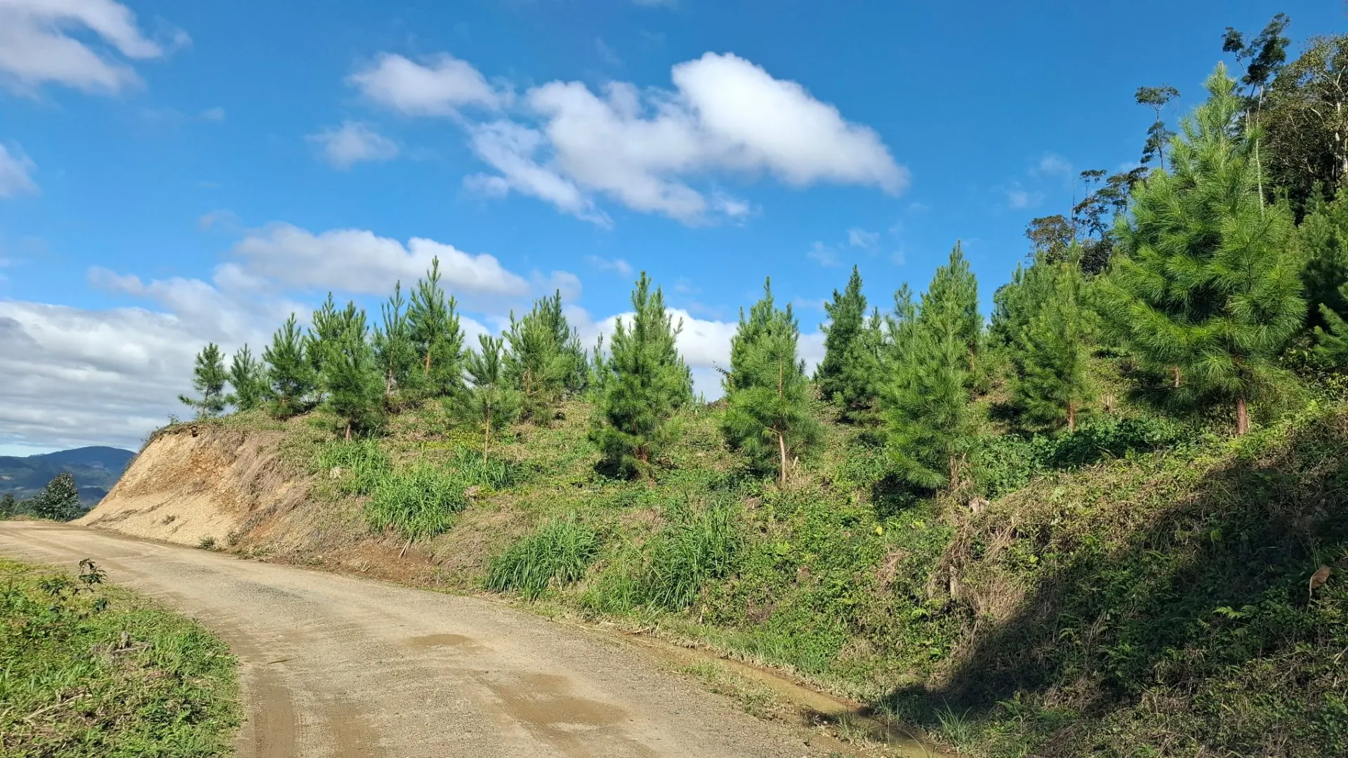 Fazenda à venda de 62 ha em Presidente Nereu, SC, Brasil