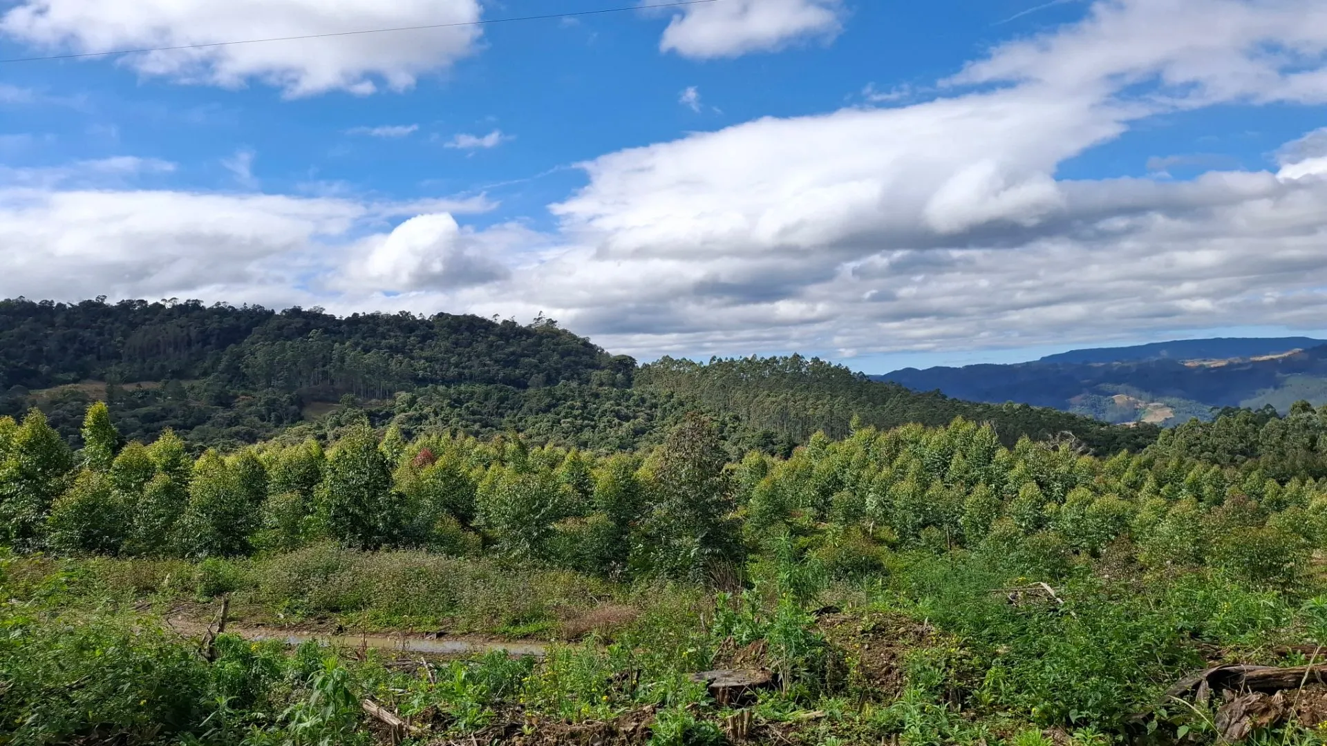 Fazenda à venda de 62 ha em Presidente Nereu, SC, Brasil