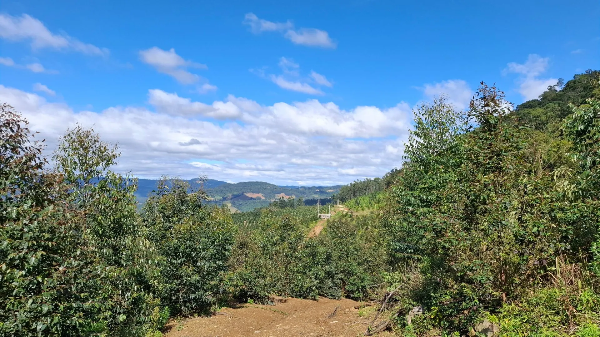 Fazenda à venda de 62 ha em Presidente Nereu, SC, Brasil