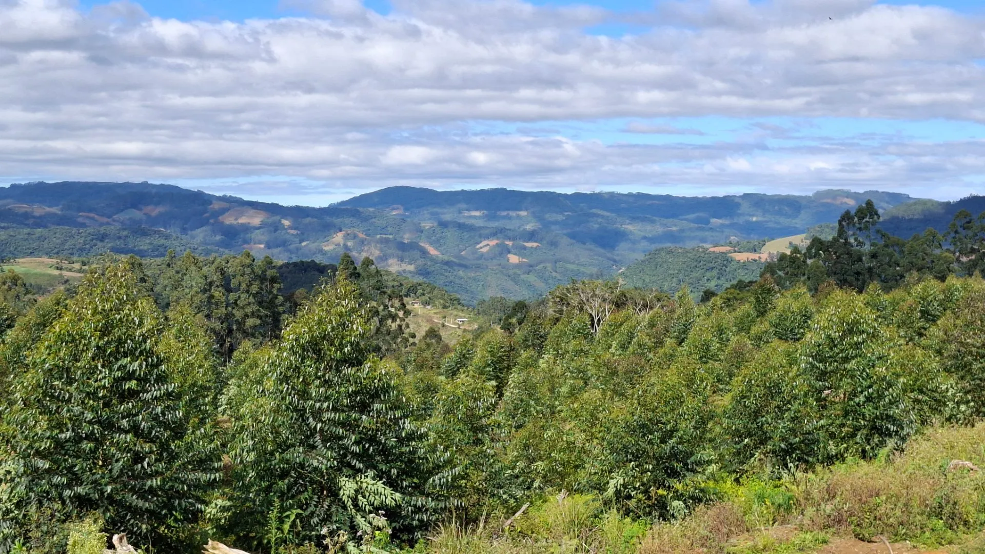 Fazenda à venda de 62 ha em Presidente Nereu, SC, Brasil