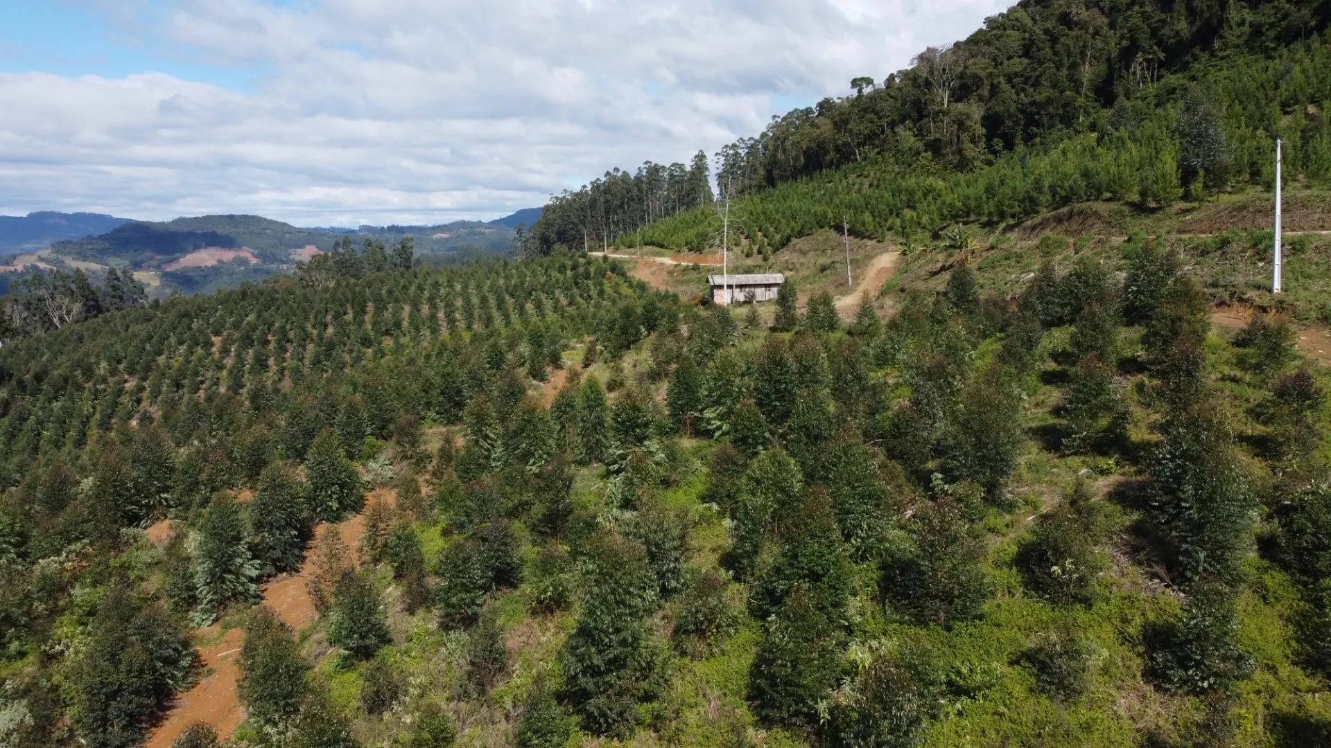 Fazenda à venda de 62 ha em Presidente Nereu, SC, Brasil