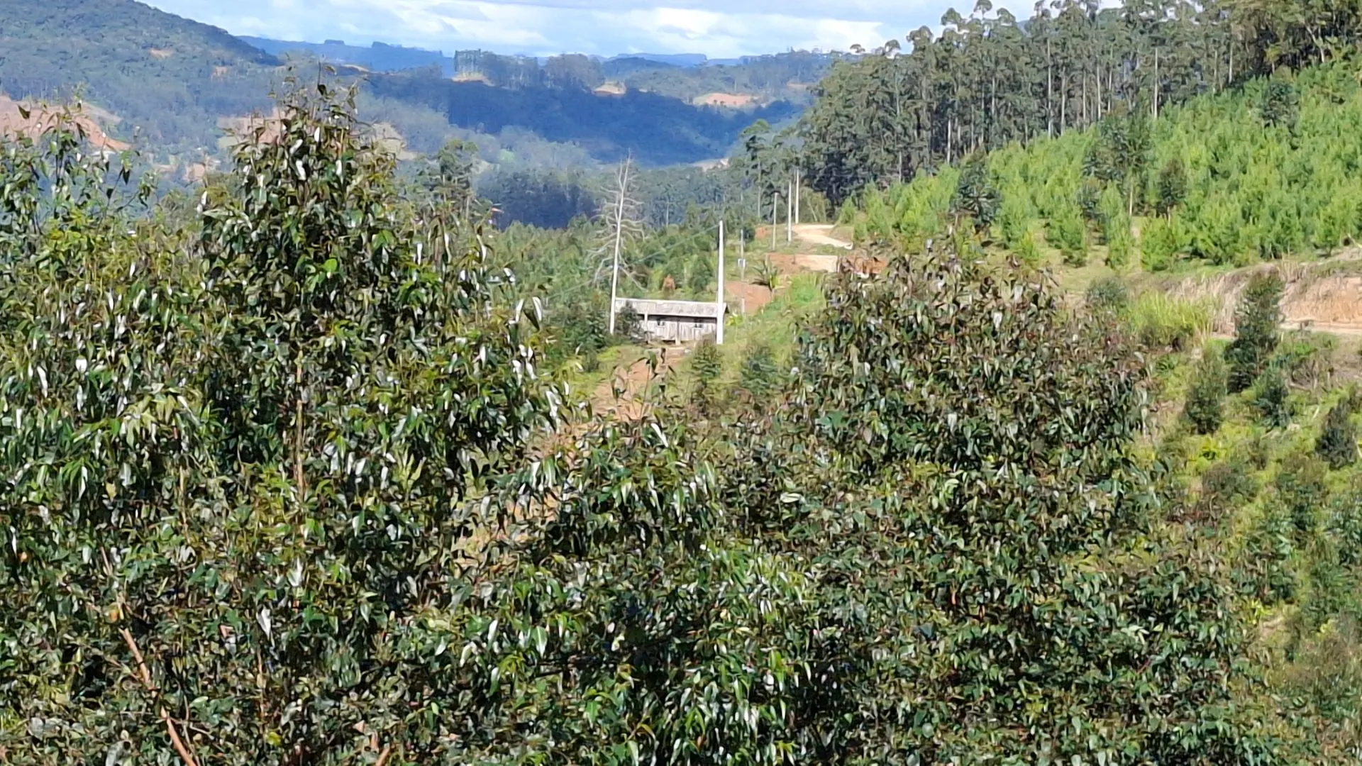 Fazenda à venda de 62 ha em Presidente Nereu, SC, Brasil