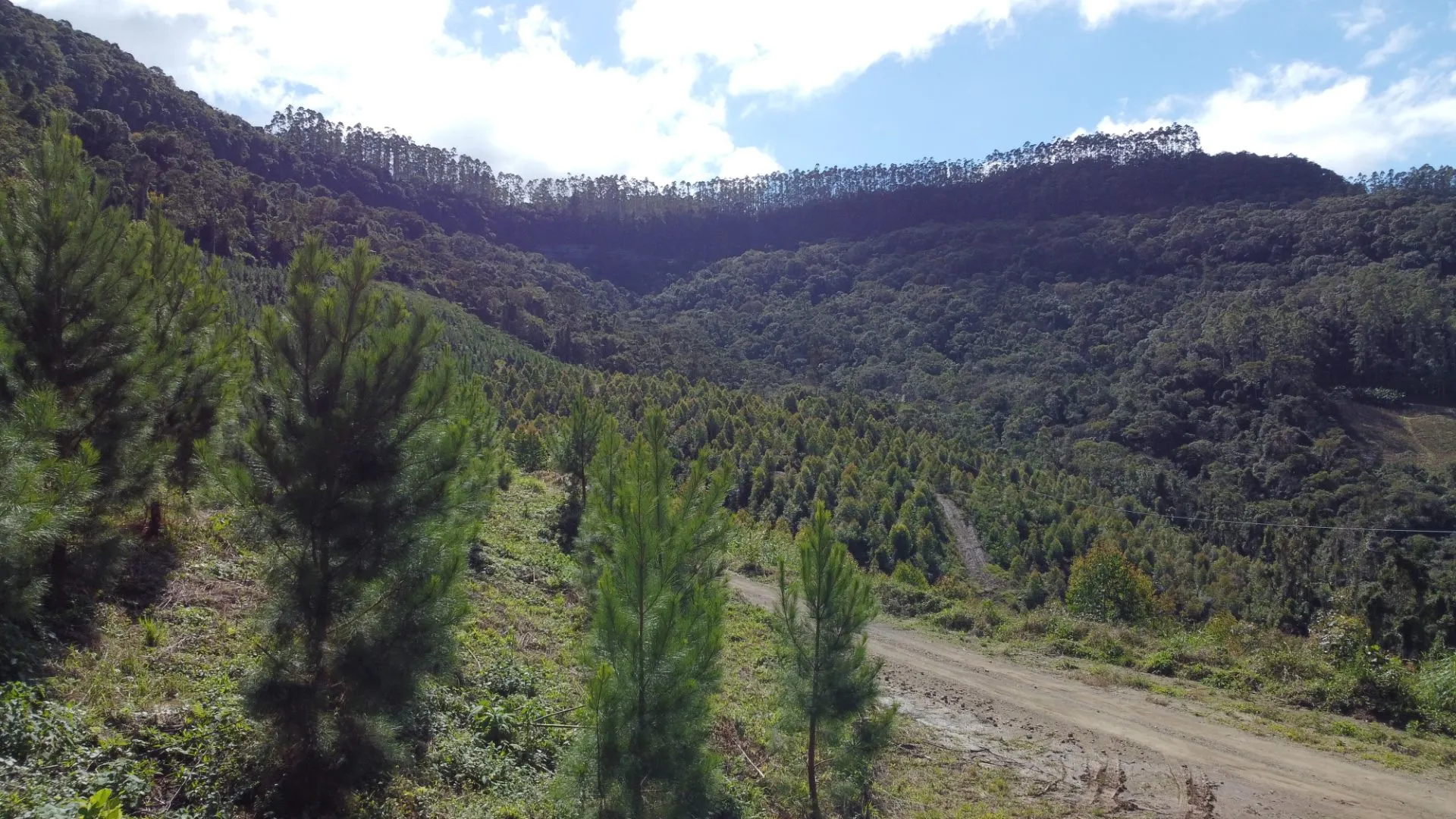 Fazenda à venda de 62 ha em Presidente Nereu, SC, Brasil