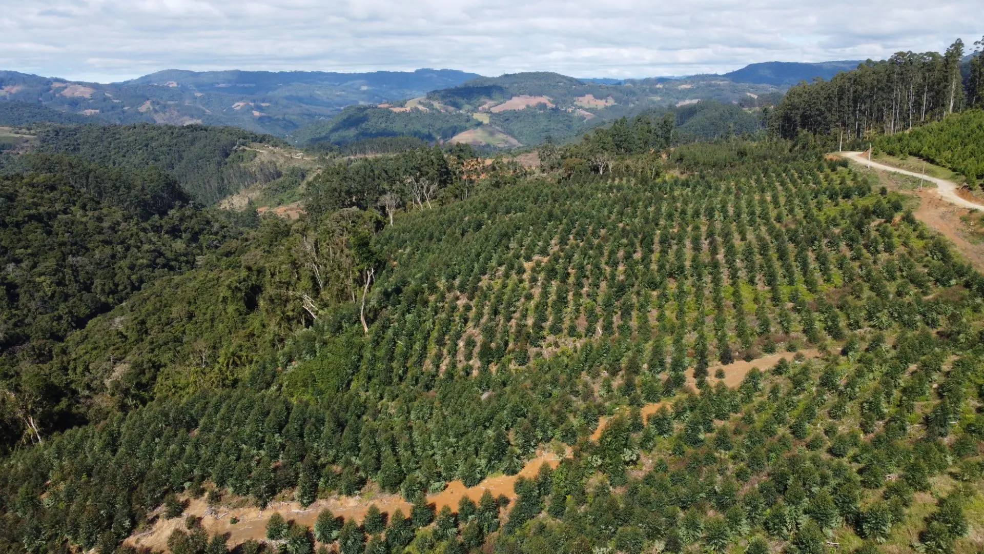 Fazenda à venda de 62 ha em Presidente Nereu, SC, Brasil