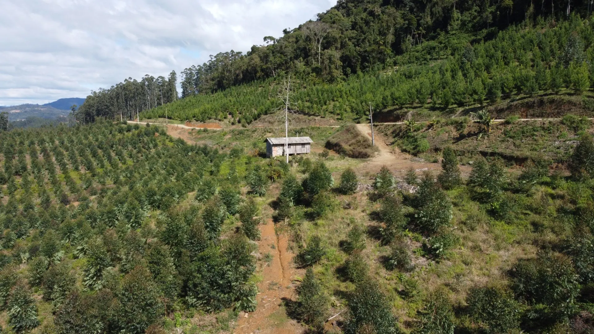 Fazenda à venda de 62 ha em Presidente Nereu, SC, Brasil