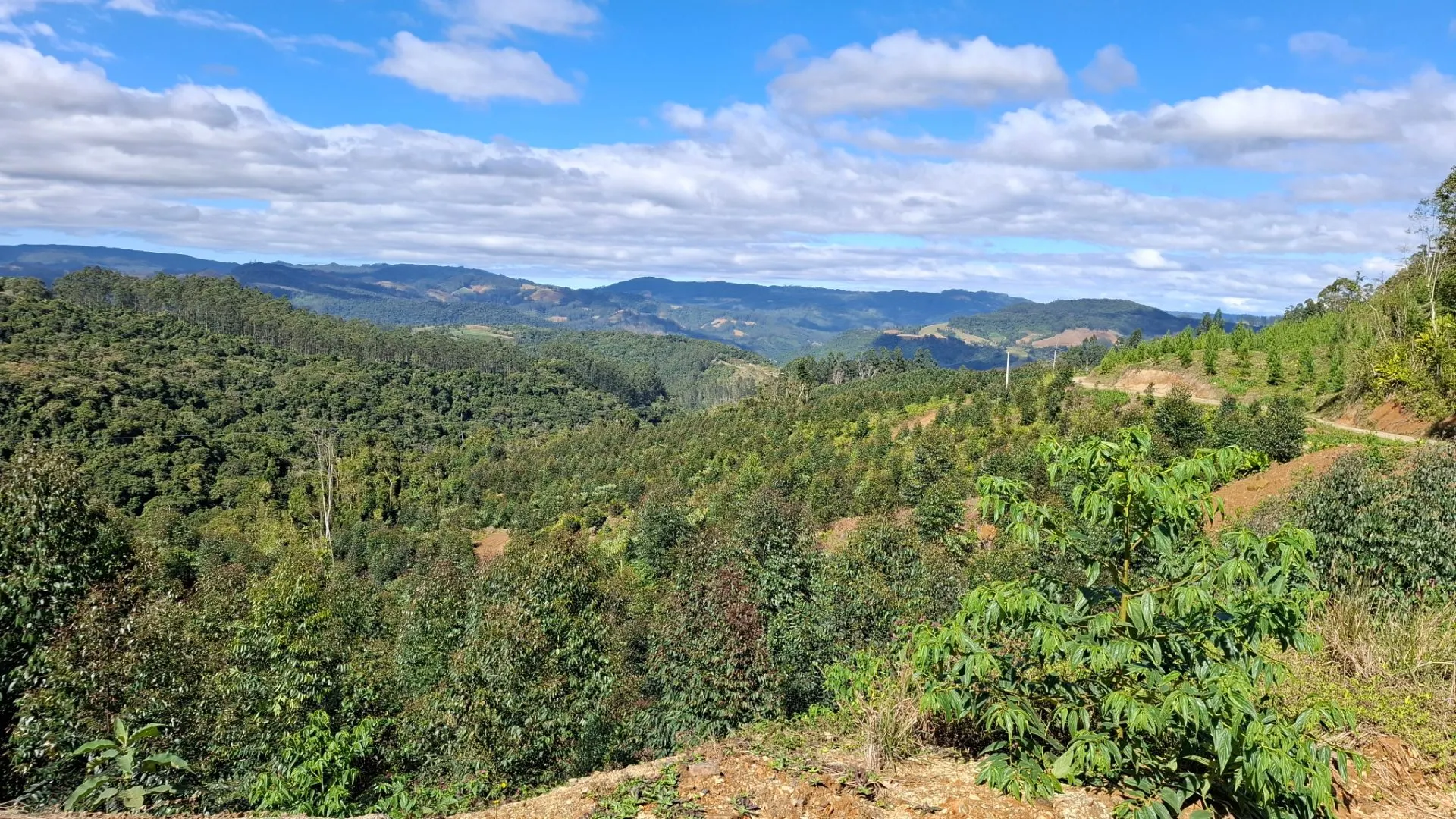 Fazenda à venda de 62 ha em Presidente Nereu, SC, Brasil