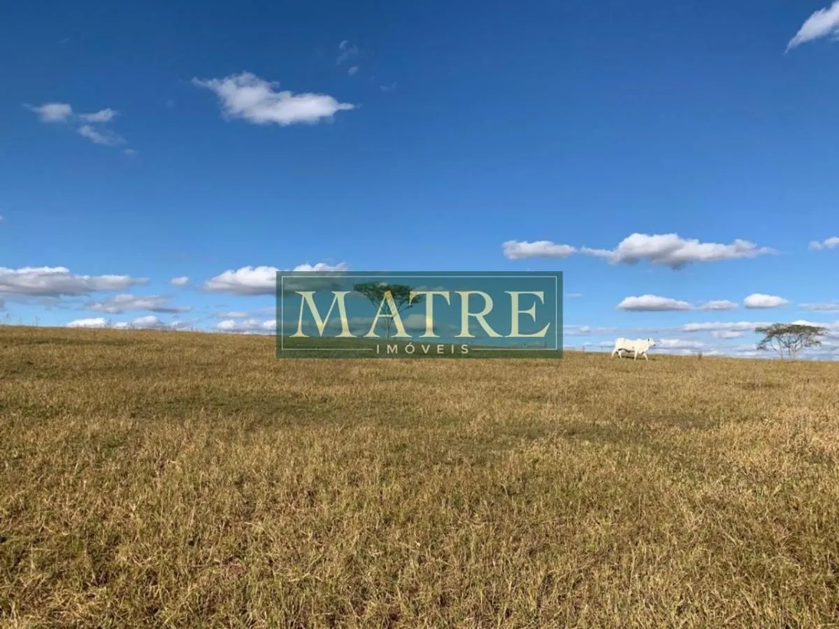 Fazenda à venda de 130 ha em Marília, SP, Brasil