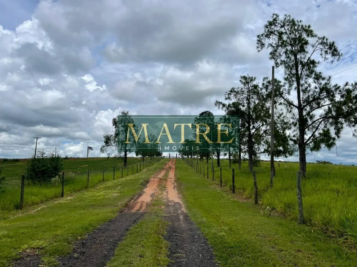 Fazenda à venda de 130 ha em Marília, SP, Brasil