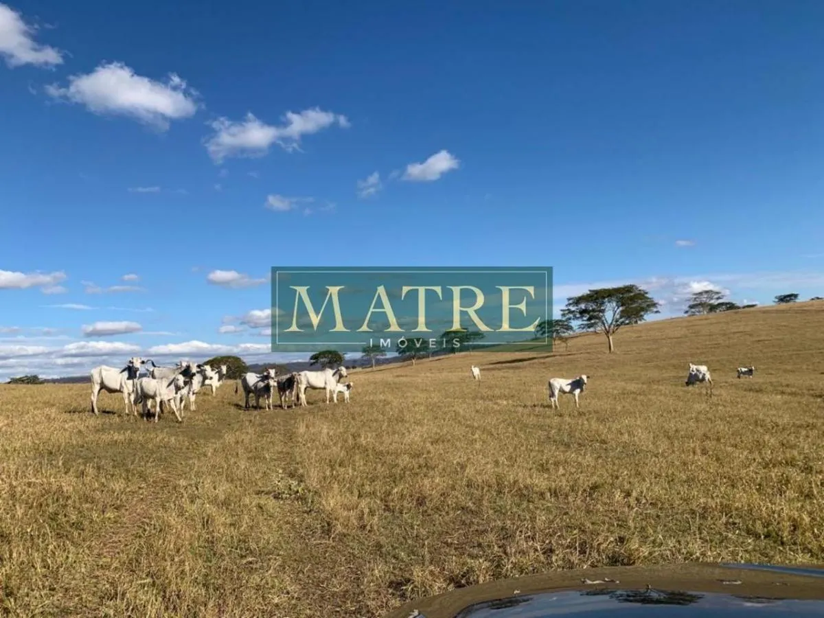 Fazenda à venda de 130 ha em Marília, SP, Brasil
