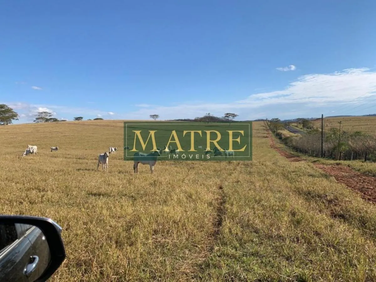 Fazenda à venda de 130 ha em Marília, SP, Brasil
