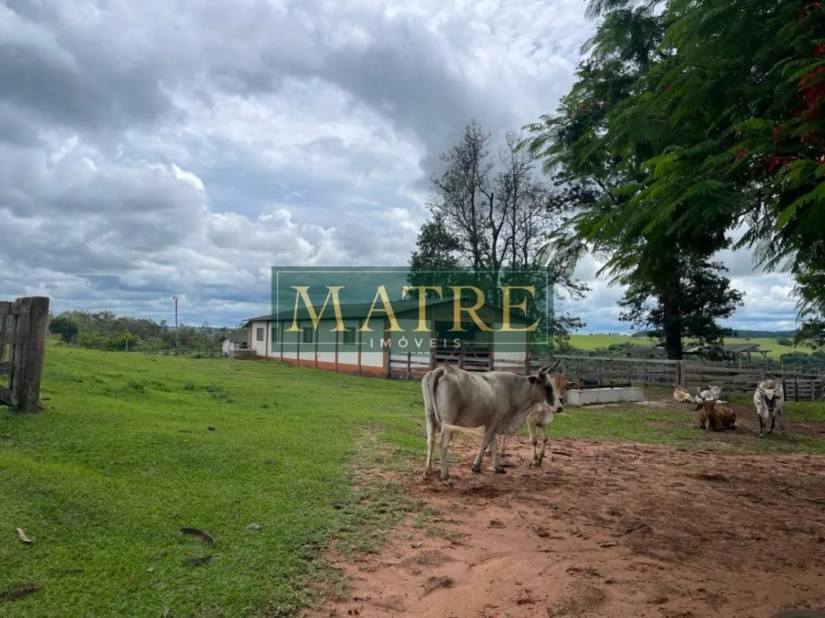 Fazenda à venda de 130 ha em Marília, SP, Brasil