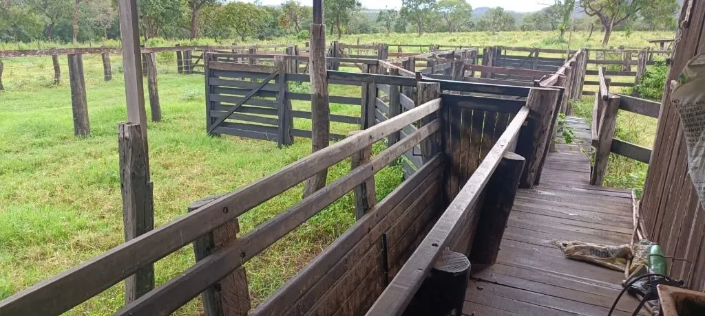 Fazenda à venda de 912 ha em Guiratinga, MT, Brasil